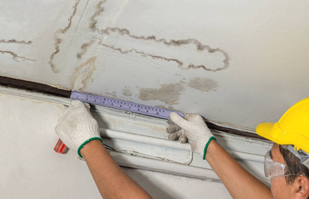 Reliable Water Damage contractor in Hopedale, MA by Water Damage Irwin